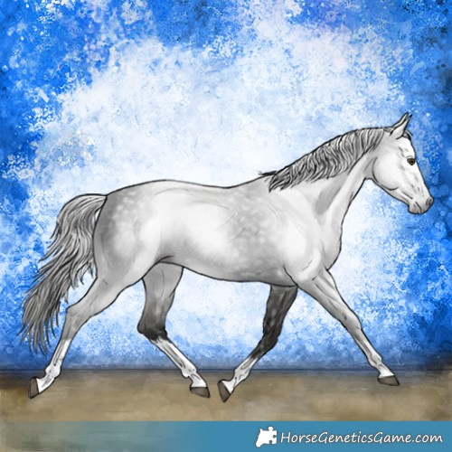Horse Color:Gray White Spotted Liver Chestnut 