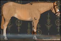 Horse Color:Chestnut and Chestnut