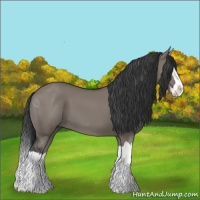 Horse Color:Grullo Splash 