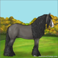 Horse Color:Grullo Splash 
