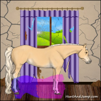 Horse Color:Palomino