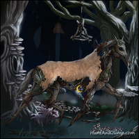 Horse Color:Bay Dun  and Bay Dun Splash 