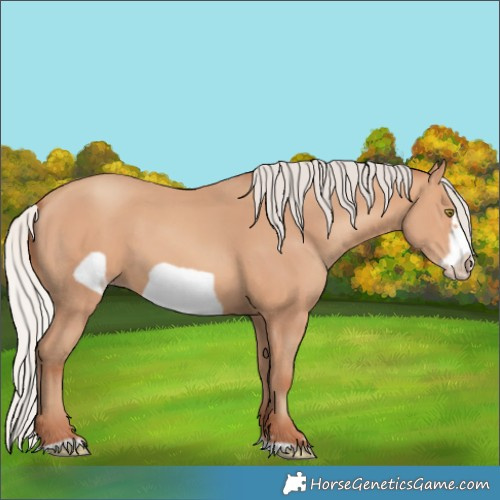 Horse Color:Silver Amber Champagne Frame 