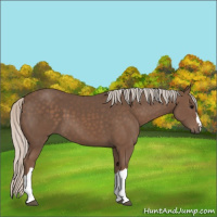 Horse Color:Silver Black 