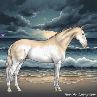 Horse Color:Silver Classic Champagne Dun Splash Frame