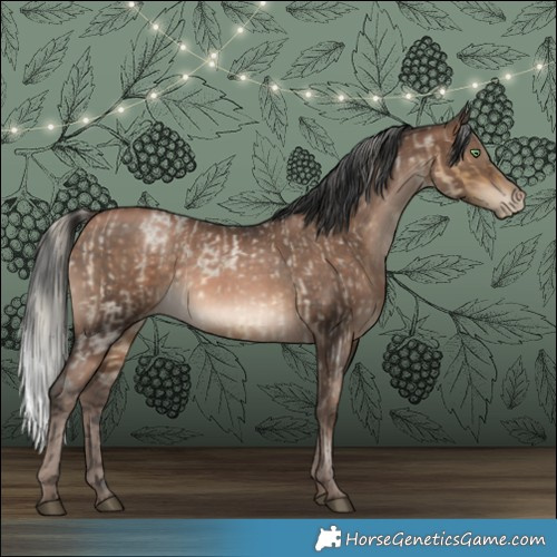 Horse Color:Silver Buckskin Roan Dun and Brown Pearl