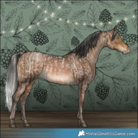 Horse Color:Silver Buckskin Roan Dun and Brown Pearl