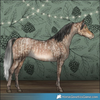 Horse Color:Silver Buckskin Roan Dun and Brown Pearl