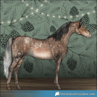 Horse Color:Silver Buckskin Roan Dun and Brown Pearl