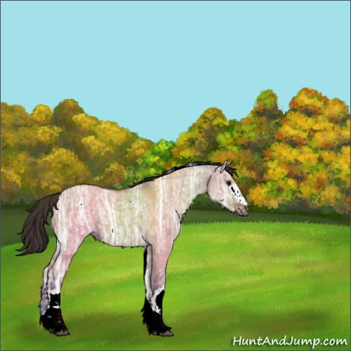 Horse Color:White Spotted Buckskin Ice Dun Tobiano 