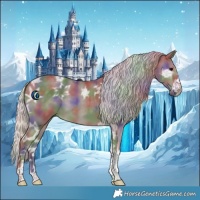 Horse Color:Nacre Silver Black Ice Tobiano 