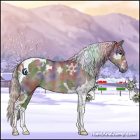 Horse Color:Nacre Silver Black Ice Tobiano