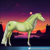 Horse Color:Silver Grullo Pearl 