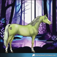 Horse Color:Silver Grullo Pearl