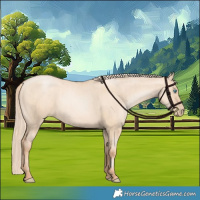 Horse Color:Gold Champagne Pearl Dun Rabicano  and Gold Champagne Pearl Dun Rabicano 