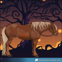 Horse Color:Chestnut Rabicano