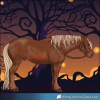 Horse Color:Chestnut Rabicano 