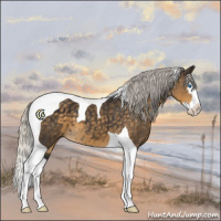 Horse Color:Silver Smoky Black Splash Tobiano 