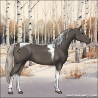 Horse Color:Silver Smoky Black Tobiano 