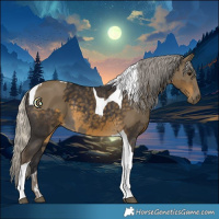 Horse Color:Silver Smoky Black Tobiano  and Silver Smoky Black Tobiano 