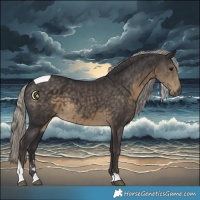 Horse Color:Silver Smoky Black Tobiano 