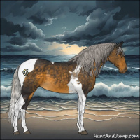 Horse Color:Silver Buckskin Tobiano 