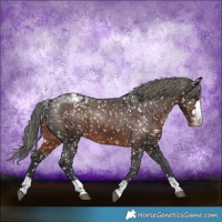 Horse Color:Liver Chestnut Mushroom Snowflake Varnish 