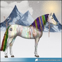 Horse Color:Painted Bay Ice Tobiano Rabicano 