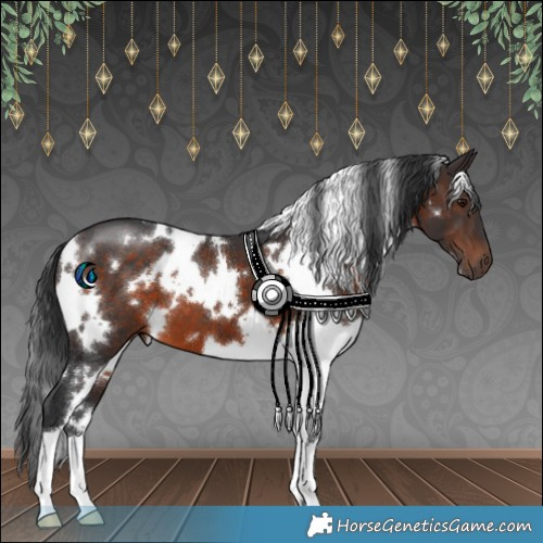 Horse Color:White Spotted Brown 