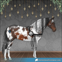 Horse Color:White Spotted Brown 