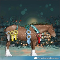 Horse Color:Gray Black Pearl Snowflake Varnish