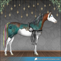 Horse Color:Painted White Spotted Bay Splash