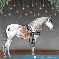 Horse Color:Bay Splash Tobiano Frame Rabicano 
