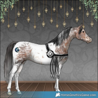 Horse Color:Bay Ice Tobiano