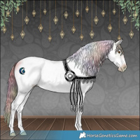 Horse Color:Nacre Classic Champagne Ice Dun Sabino Splash Tobiano Frame Appaloosa Rabicano 