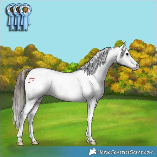 Horse Color:Brown Tobiano Appaloosa Rabicano 