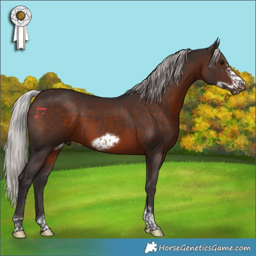 Horse Color:Silver Brown Tobiano Frame Rabicano 