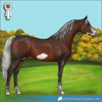 Horse Color:Silver Brown Tobiano Frame Rabicano