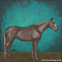 Horse Color:Silver Black 