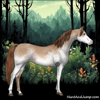 Horse Color:White Spotted Red Dun 