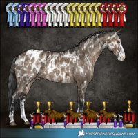Horse Color:Liver Red Dun Sabino Appaloosa Rabicano Brindle  and Brown Dun Sabino Appaloosa Brindle 