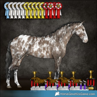 Horse Color:Liver Red Dun Sabino Appaloosa Rabicano Brindle  and Brown Dun Sabino Appaloosa Brindle 