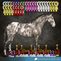 Horse Color:Liver Red Dun Sabino Appaloosa Rabicano Brindle and Brown Dun Sabino Appaloosa Brindle