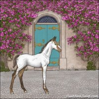 Horse Color:Chocolate Palomino Dun Appaloosa Brindle