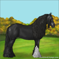 Horse Color:Gray Black 