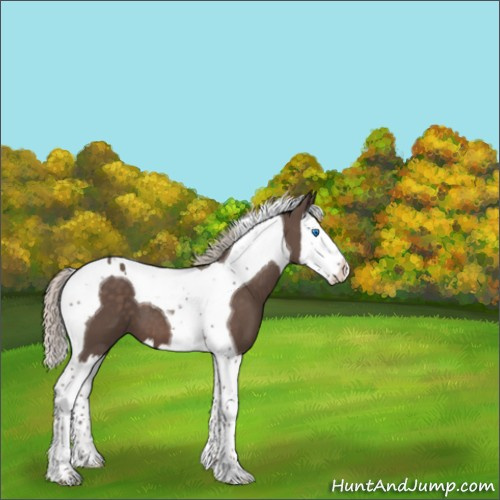 Horse Color:Silver Black Splash Tobiano 