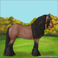 Horse Color:Gray Bay Roan 