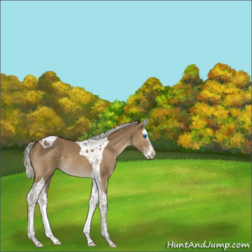 Horse Color:Silver Smoky Black Splash Tobiano 