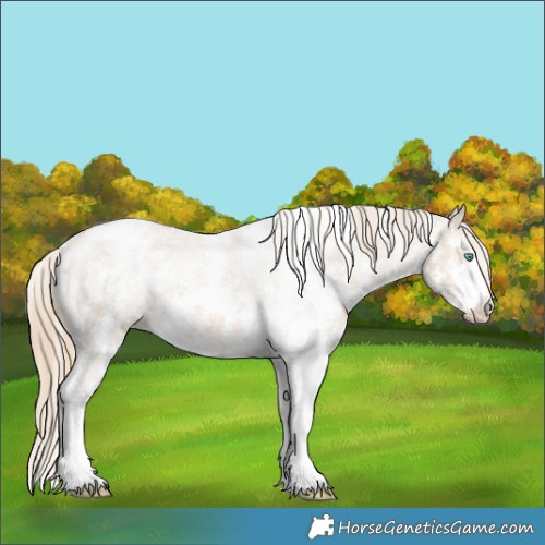 Horse Color:Smoky Creme Sabino Appaloosa 