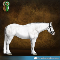 Horse Color:Brown Roan Dun Sabino Appaloosa Brindle